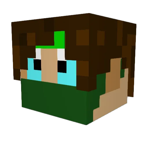 Poolett Minecraft avatar head, 3D render