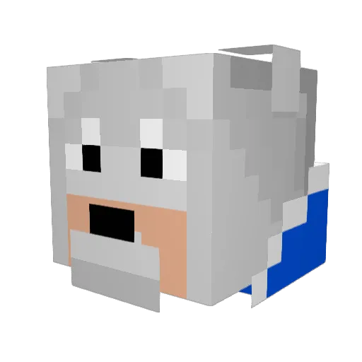 Poolmanpro Minecraft avatar head, 3D render