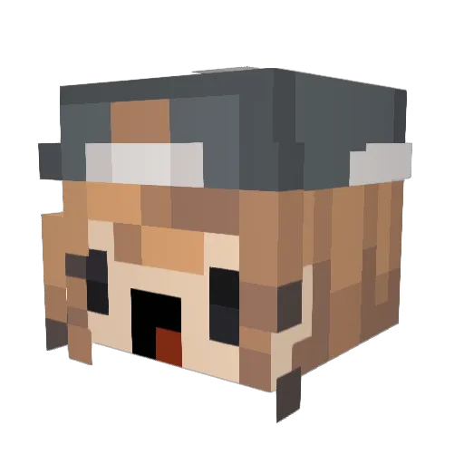 Poolskin Minecraft avatar head, 3D render