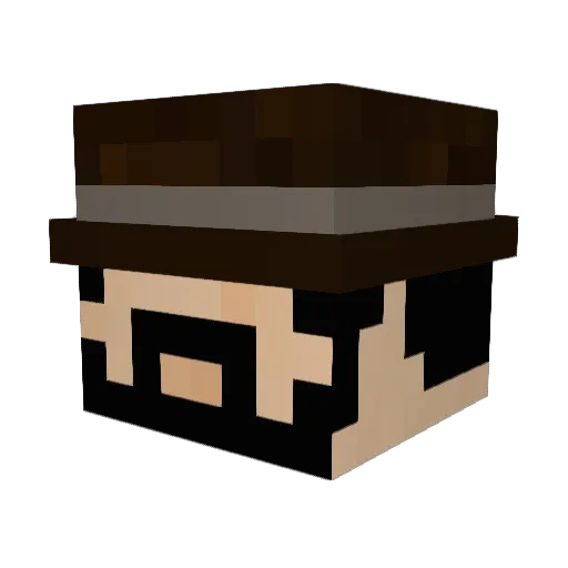 Poon_Dog Minecraft avatar head, 3D render