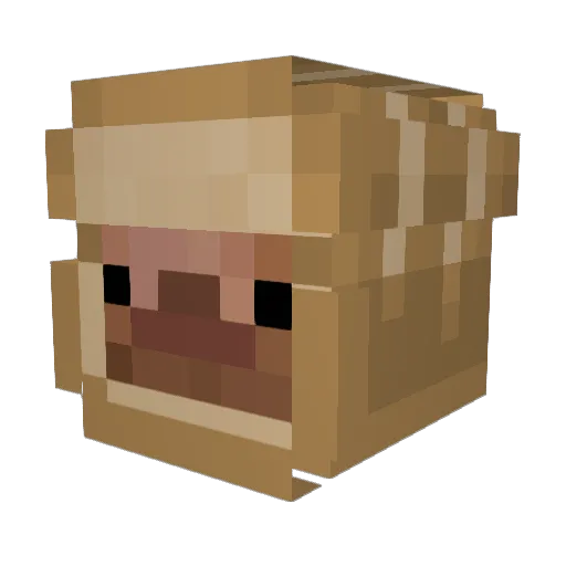 PoopEater100 Minecraft avatar head, 3D render