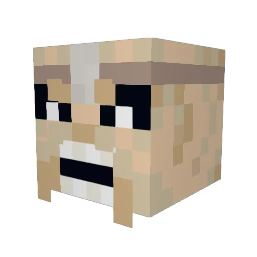 PoopSlayer17 Minecraft avatar head, 3D render