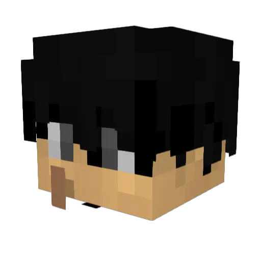 PoopTheGriffin Minecraft avatar head, 3D render