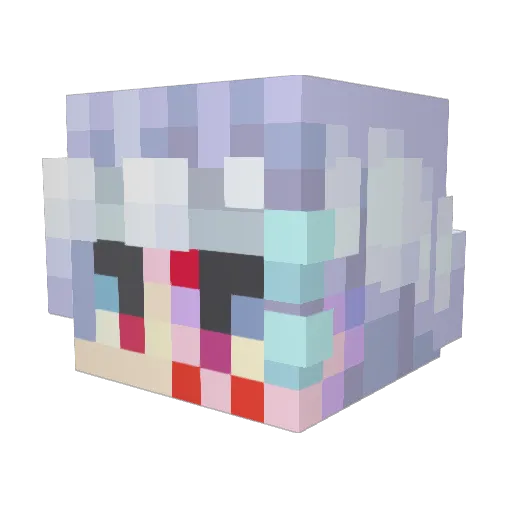 Poop___Sock Minecraft avatar head, 3D render