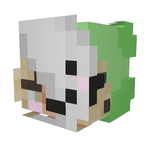 Poopaface Minecraft avatar head, 3D render