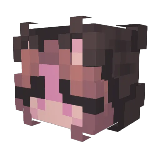 PoopasaurX Minecraft avatar head, 3D render