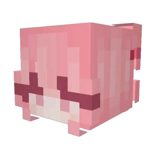 Poopeez_Cat Minecraft avatar head, 3D render