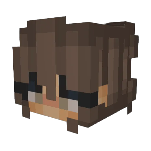 Poopid Minecraft avatar head, 3D render