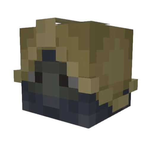Poopoohahafunny Minecraft avatar head, 3D render
