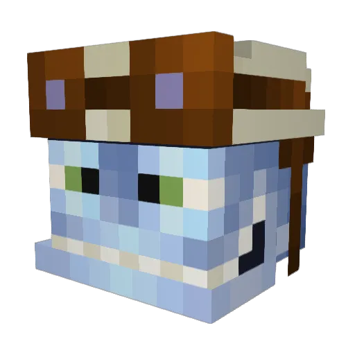 Poopoomaster123 Minecraft avatar head, 3D render