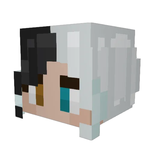 PoopyBum43 Minecraft avatar head, 3D render