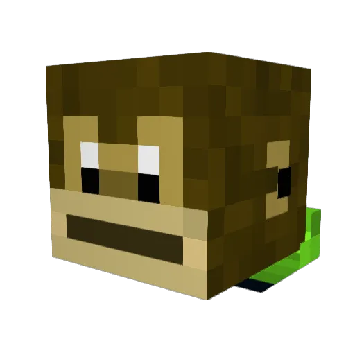 Poopyboots Minecraft avatar head, 3D render