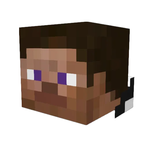 Poopyhead01 Minecraft avatar head, 3D render