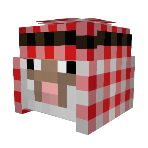 PoorJuGirl Minecraft avatar head, 3D render