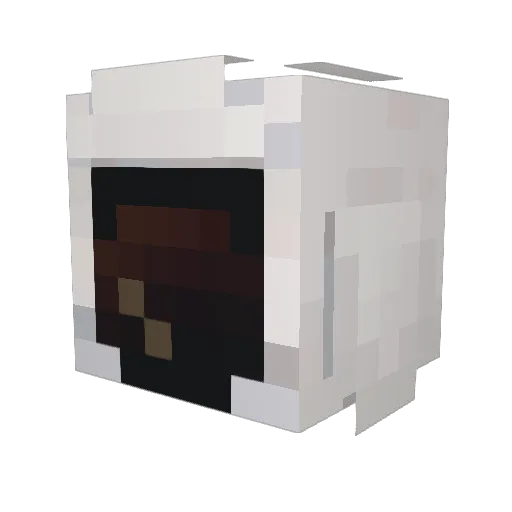 PoorLemons Minecraft avatar head, 3D render