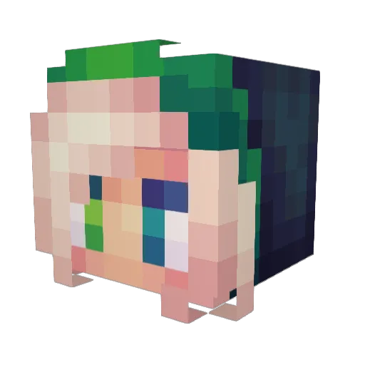 Poor_Apothecary Minecraft avatar head, 3D render