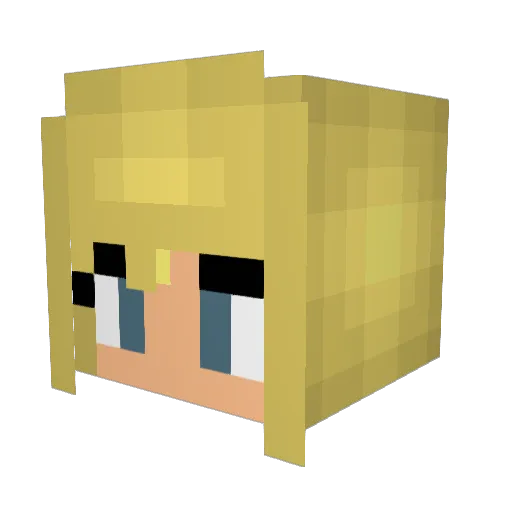 Poor_Dick Minecraft avatar head, 3D render