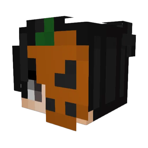 Poor_thing Minecraft avatar head, 3D render