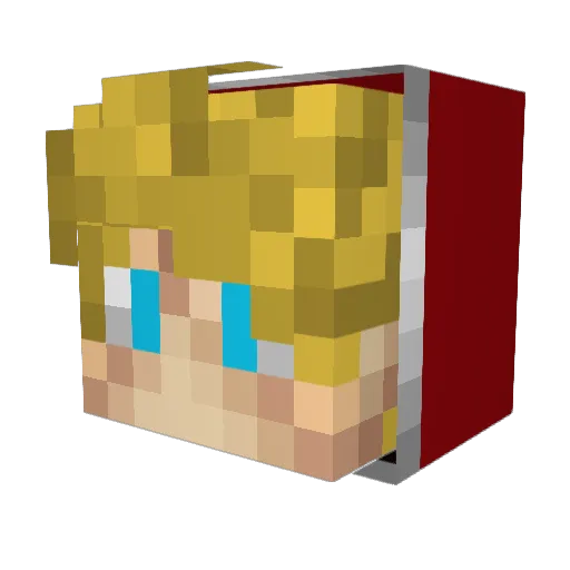 Pooreboyjr Minecraft avatar head, 3D render