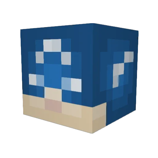 PoorlyTrained Minecraft avatar head, 3D render