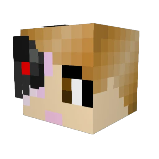PoormanTS Minecraft avatar head, 3D render
