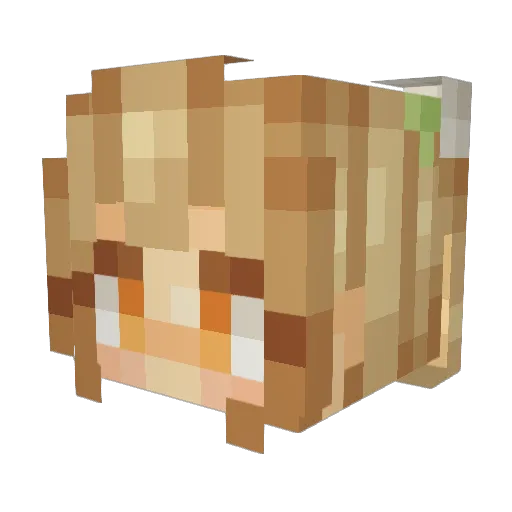 PoosayPopper Minecraft avatar head, 3D render