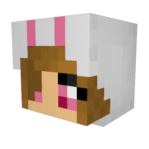 Pooscab Minecraft avatar head, 3D render