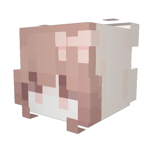 PopCocoa Minecraft avatar head, 3D render