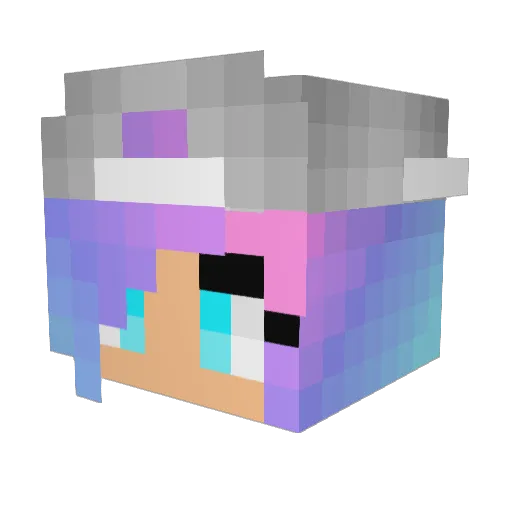 PopGamer17 Minecraft avatar head, 3D render