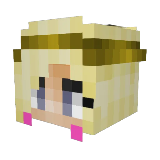 PopRoxGamer Minecraft avatar head, 3D render