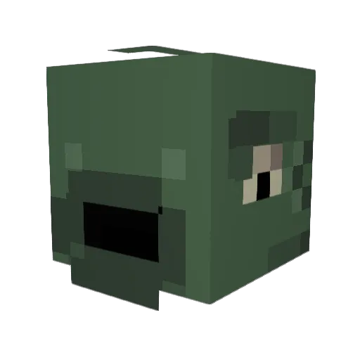 PopTartAddict Minecraft avatar head, 3D render