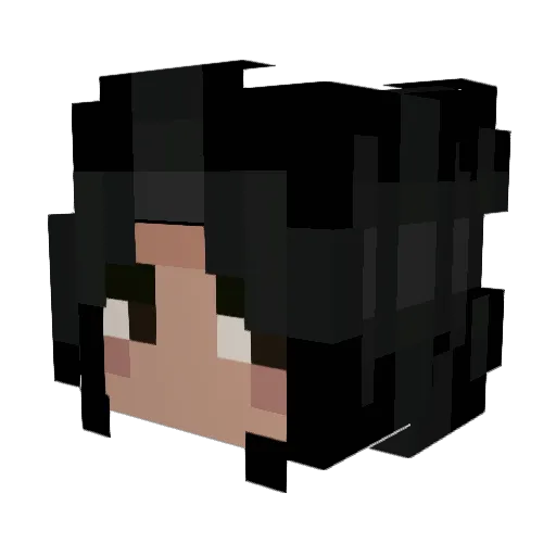 PopTartNekko Minecraft avatar head, 3D render