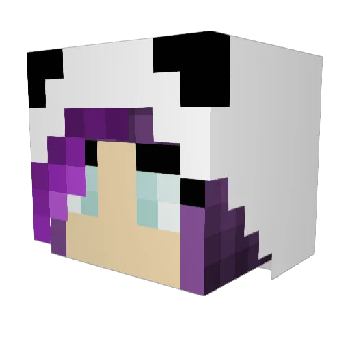 Pop_bo Minecraft avatar head, 3D render