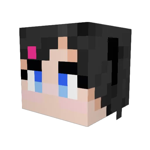 Popa2015 Minecraft avatar head, 3D render