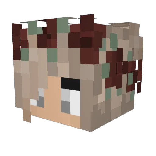 PopaEb Minecraft avatar head, 3D render