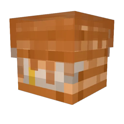Popa_orla Minecraft avatar head, 3D render