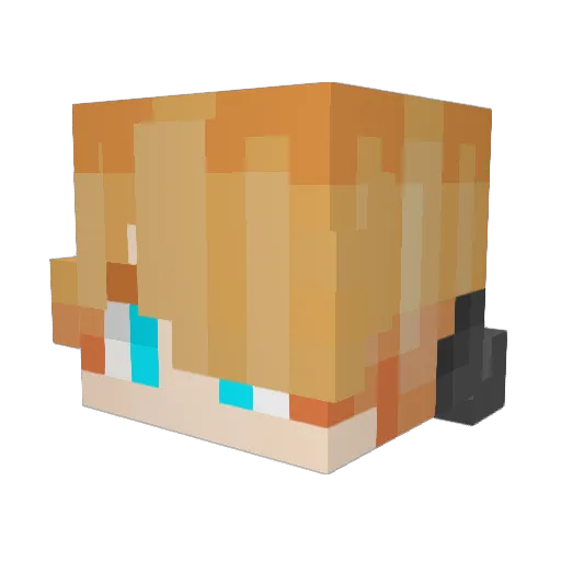 Popadas Minecraft avatar head, 3D render