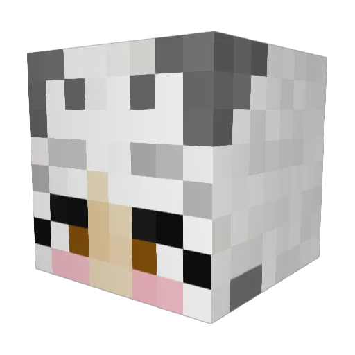 PopaeiusGaeius Minecraft avatar head, 3D render