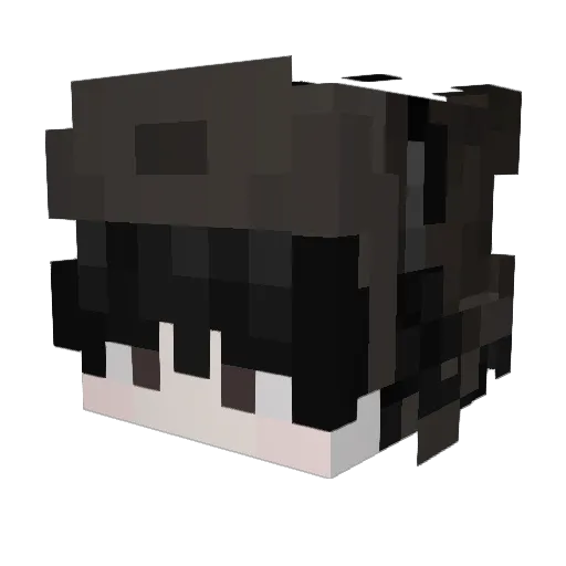 Popall21 Minecraft avatar head, 3D render