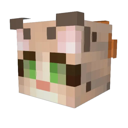 Popcanoclast Minecraft avatar head, 3D render