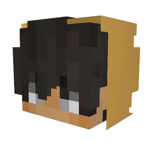 Popcolll Minecraft avatar head, 3D render