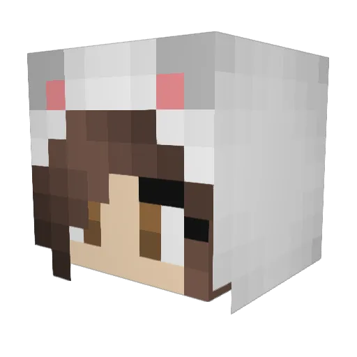 Popcorn1018 Minecraft avatar head, 3D render