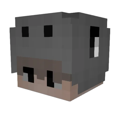 Popcorn245 Minecraft avatar head, 3D render