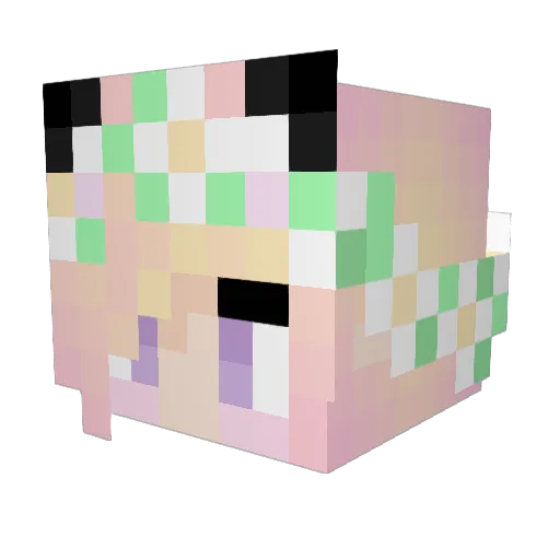 PopcornRain Minecraft avatar head, 3D render