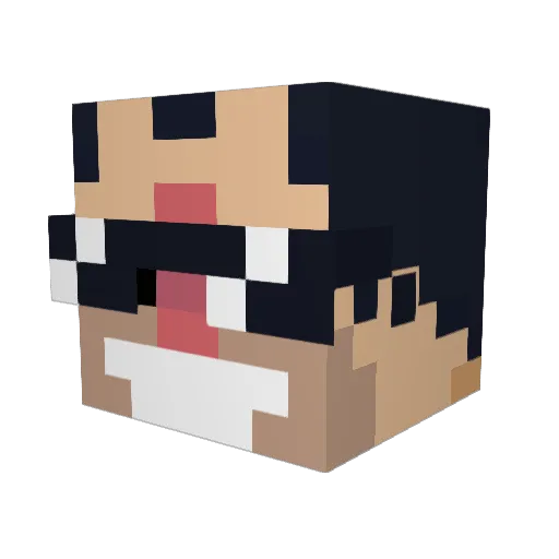 PopeNixon Minecraft avatar head, 3D render