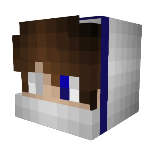 Popillo Minecraft avatar head, 3D render