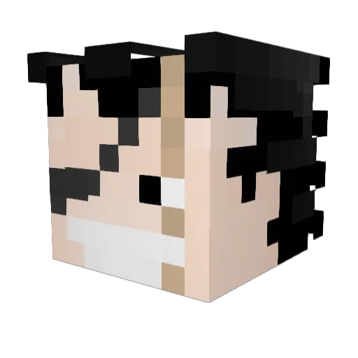 Popin_MC Minecraft avatar head, 3D render
