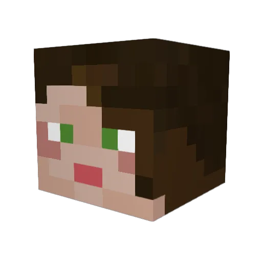Poplar18 Minecraft avatar head, 3D render