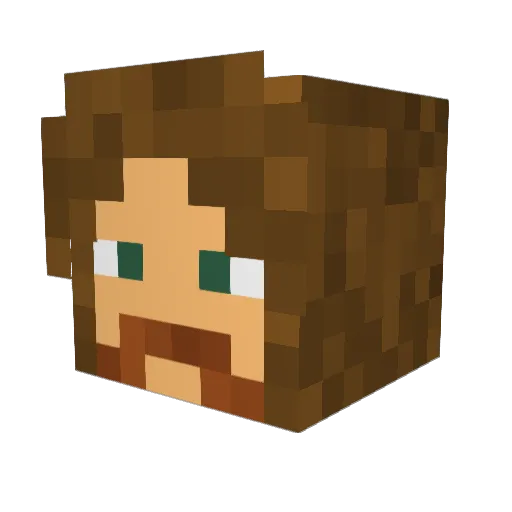 PoplinMan Minecraft avatar head, 3D render