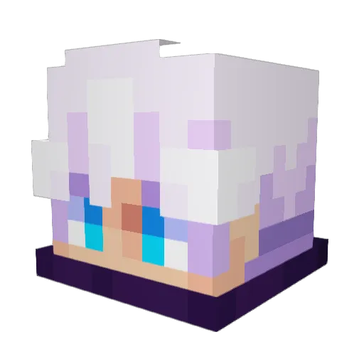 Popo0202 Minecraft avatar head, 3D render